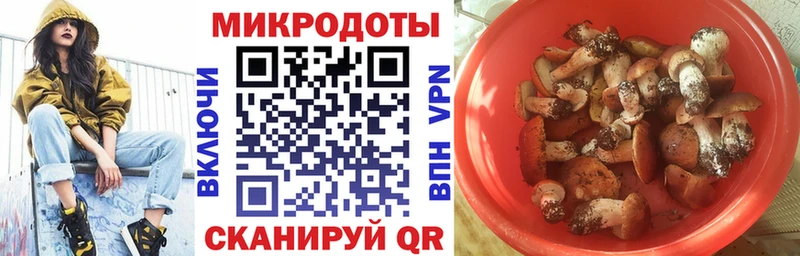 Купить  Коммунар  Псилоцибиновые грибы прущие грибы 